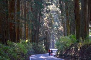 「日光鬼怒川」エリアの紹介開始！世界遺産を擁する関東屈指の観光地もサイクリストウェルカムに！